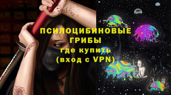 гидра Абаза