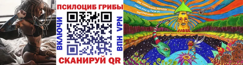 продажа наркотиков  Томилино  Галлюциногенные грибы Psilocybine cubensis 